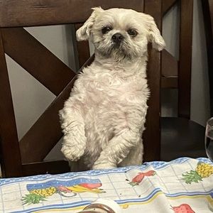 Meet your Posher, Rafael